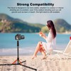 Portable Travel Light Stand Folding Travel Tripod with 180° Reversible