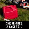 STA-BIL Full Synthetic 2-Cycle Oil - With Fuel Stabilizer For
