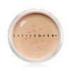 Guthy Renker Sheer Cover Lip to Lid Highlighter Bronzing Tan