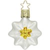 Inge-glas Edelweiss 5 cm
