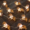 Lindas luces decorativas de hadas, regalos de caballo para mujeres,