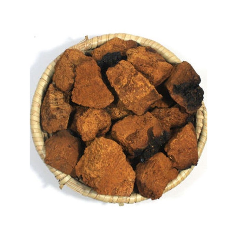 NS Home Shopping 차가버섯환 차가버섯 환 250g[33273219] Chaga Mushroom Powder