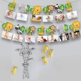 Jungle 12 Months Photo Banner Safari Garland for Kids,Boys,Baby Shower, Birthday Party Decoration (Green 1)