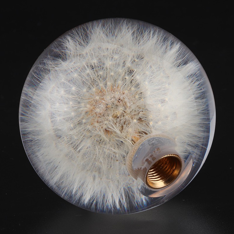 2.8in Shift Knob Crystal Real Dandelions Flowers Universal Accessory with