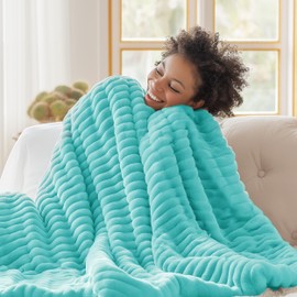 Bedsure Blue Fog Fleece Blanket for Couch - GentleSoft Cozy Soft Blankets for Women, Cute Small Throws for Girls, 50x60 Inches