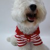 Cute Dog Clothes Striped Dog Polo Shirts Cute Sweater Puppy