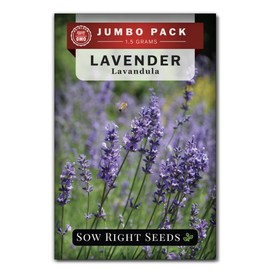 Sow Right Seeds - Bulk Lavender Seeds for Planting - 1.5 Grams, 1500 Seeds - Non-GMO Heirloom Jumbo Pack with Instructions to Grow an Indoor or Outdoor Herb Garden - Grow Loads of Purple Blooms