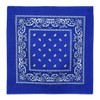 Laciteinterdite Set of 3 Paisley Bandanas for Men and Women,