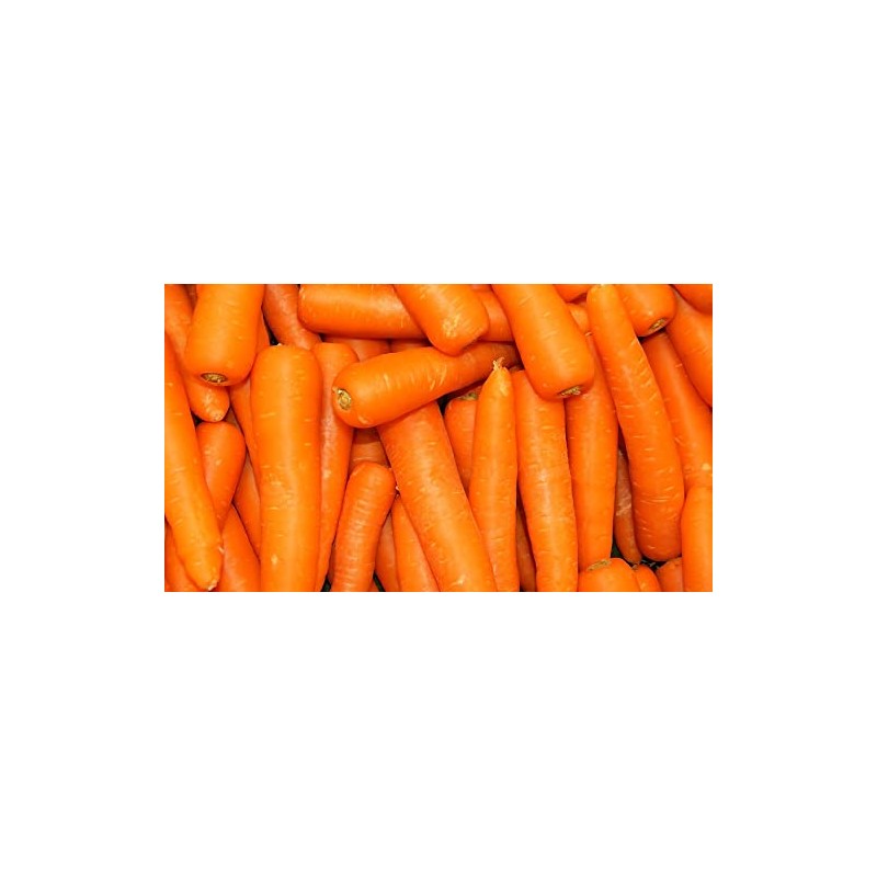 CARROTS || VEGETABLE || HEALTHY || FPG4U || 1000gm