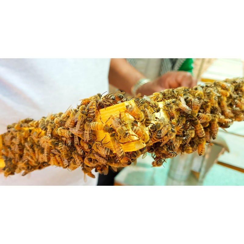 Bee Pollen Premium Beekeeper Quality Flower Pollen, 500 g, Completely