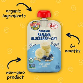Earth's Best Organic Baby Food Pouches, Wholesome Breakfast Puree for Babies 6 Months and Older, Organic Banana Blueberry and Oat Puree, 3.5 oz Resealable Pouch (Pack of 12)