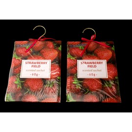Multicolor 2 Pack Large Hanging Closet Sachet 9" x 6.75"  Metal Hanger & Bow Strawberry