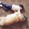Bozal Para Perro De Entrenamiento Todas Las Tallas