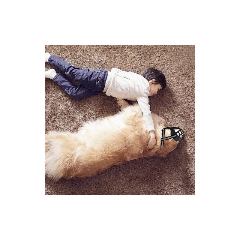 Bozal Para Perro De Entrenamiento Todas Las Tallas