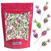 Bubble Gum Filled Blow Pop Lollipops Hard Candy Suckers, Assorted