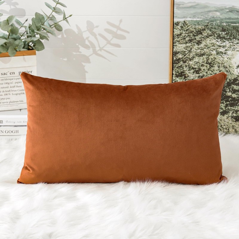 Artscope Luxury Velvet Cushion Covers Super Soft Decorative Throw Pillow