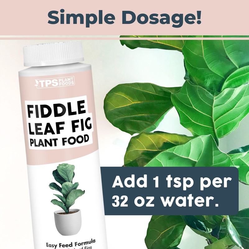 Fiddle Leaf Fig Plant Food for All Fig and Other
