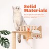 MIUZMORE Wall Mounted Cat Tree - 7 PCS Cat Wall