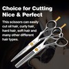 Fenice Totem Professional Hair Scissors, Sharp Precision Cutting, No-Pull Design,