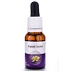 Living Essences Rabbit Orchid 15ml