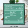 Alga Espirulina Polvo 500 Gramos Pura