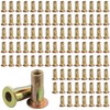 AOKLIT 100 Pack Multi-Grip Rivet Nut Kit, 5/16-18 Rivet Nut
