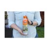Ortho Home Defense Backyard Mosquito and Bug Killer Area Fogger