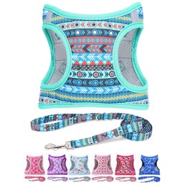 Moonpet Step in Air Boy Dog Harness Leash Set- All Weather Reflective No-Pull Padded Mesh Vest Harness for Cats Puppy Extra-Small Small Medium Large Dogs - Mayan Mysteries - XXS