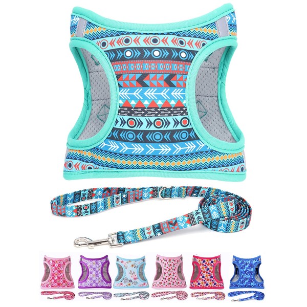 Moonpet Step in Air Boy Dog Harness Leash Set- All
