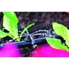 Hozelock 2787 End Line Adjustable Mini Sprinkler, 4/13 mm -