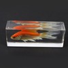 REAL BUG FH304 Common Goldfish Paperweight (4.4x1.6x1.1)