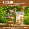 Trailmark Naturals - 1 LB - Raw Peanuts For Squirrels,