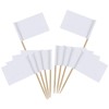 100pcs Food Labels for Buffet,Food Flags,Party Food Labels,Blank Toothpick Flags