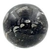 Steinfixx - Fantastic Orthoceras Ball - Beautiful Fossils in Granite