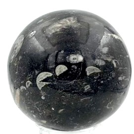 Steinfixx - Fantastic Orthoceras Ball - Beautiful Fossils in Granite (5 cm)