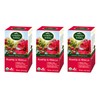 Garden of the Andes Herbal Organic Decaf Rosehip and Hibiscus