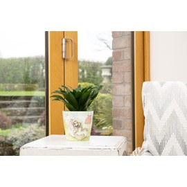 Beatrix Potter Peter Rabbit Eco Pots Set 1 - Mrs Tiggy-Winkle, Jemima & Mr Tod and Peter & Mr McGregor pots as a SET of 3