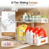 2 Pack 17IN Depth Under Sink Storage Organizer, Large 2-Tier
