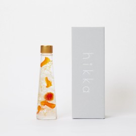 Herbarium Hikka 7.1 inches (18 cm), Preserved Flower, No Care Required, Flower Gift, Present, Celebration, Anniversary (Orange)
