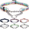 Bbmmayy Martingale Collar, Training Dog Collar, Stainless Steel Chain Pet