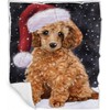 Poodle Dog Blanket - Let it Snow - Super Soft