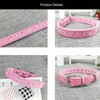 Newtensina Cute Diamante Puppy Collar and Leash Set Bling Microfiber