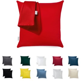 Cushion Cover 50 x 50 cm Microfibre Premium Set of 2 Cushion Covers Decoration for Cushions Sofa/Bed Fabric Super Soft Resistant Hypoallergenic Anti-Dust Mites Breathable Pillowcase with Concealed Zip