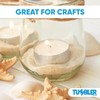 Tumbler Home Real Beach Sand from Florida - 2 Pounds