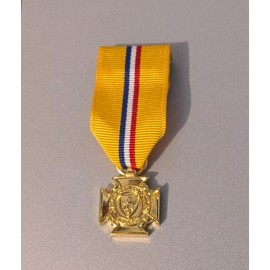 GOLD Texas State Guard Service Medal Miniature - Moiré Ribbon