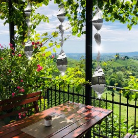 Stainless Steel Bird Deterrents for Outside,3D Wind Spinners Outdoor Decor,12 Pcs Reflective Bird Scare Discs Set Bird Reflectors to Keep Woodpecker Pigeon Away from House Window Patio Yard Porch