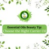 R V Essential Pure Brahmi Oil 10 ml (0.338 oz)