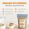 Rye Berries for Mushroom Spawn - Organic, Triple Washed Rye