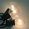 25 Pack Clear G40 Globe Light Bulbs for Patio String