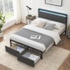 Merxeng ⏯Queen Bed Frame Platform Bed Frame with LED Lights